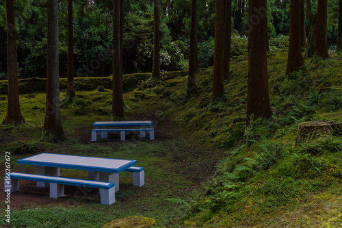 Nice picnic area with benches in Terceira, Azores, Portugal