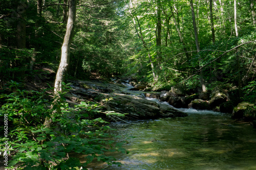 Sunny Stream