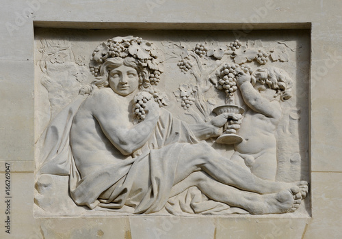 Photography Bacchus