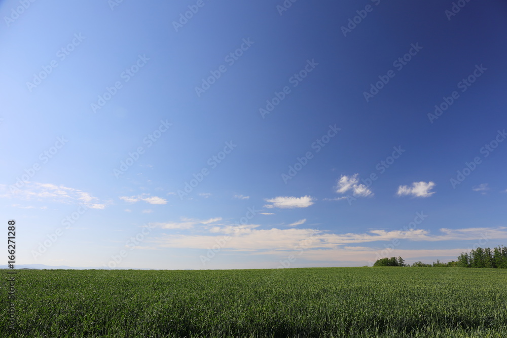 Landscape of Biei Hokkaido Japan