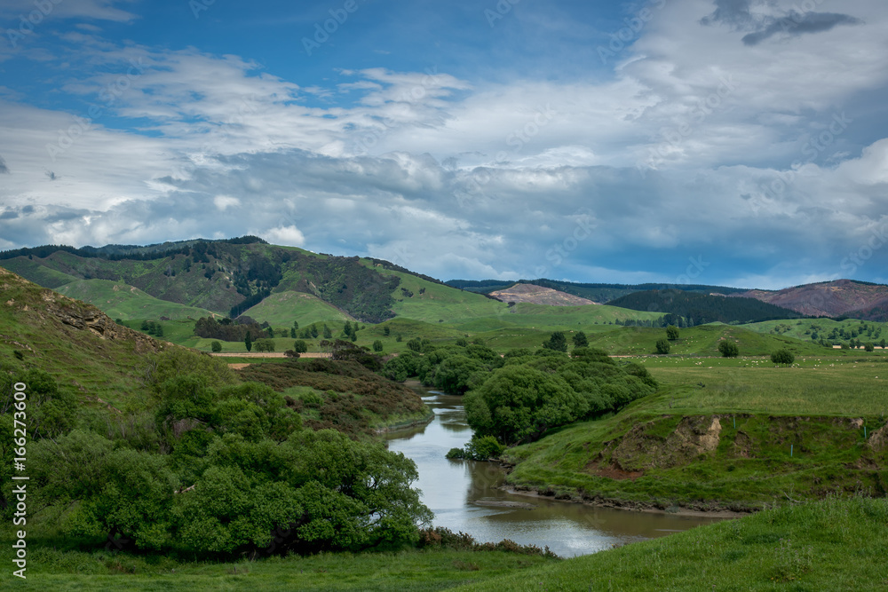 Obraz premium Typical Wairarapa