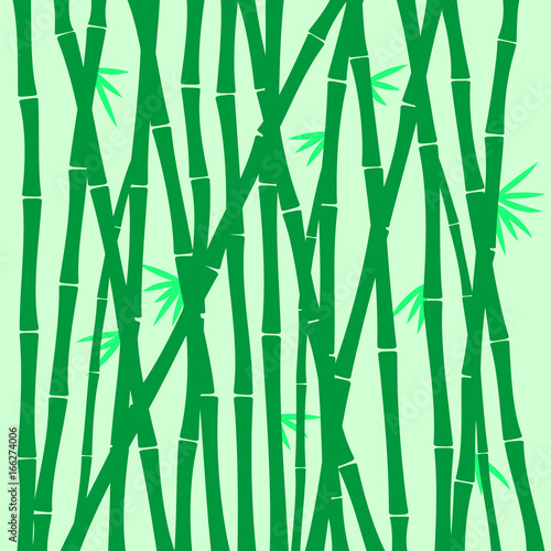 bamboo texture © Artsergei