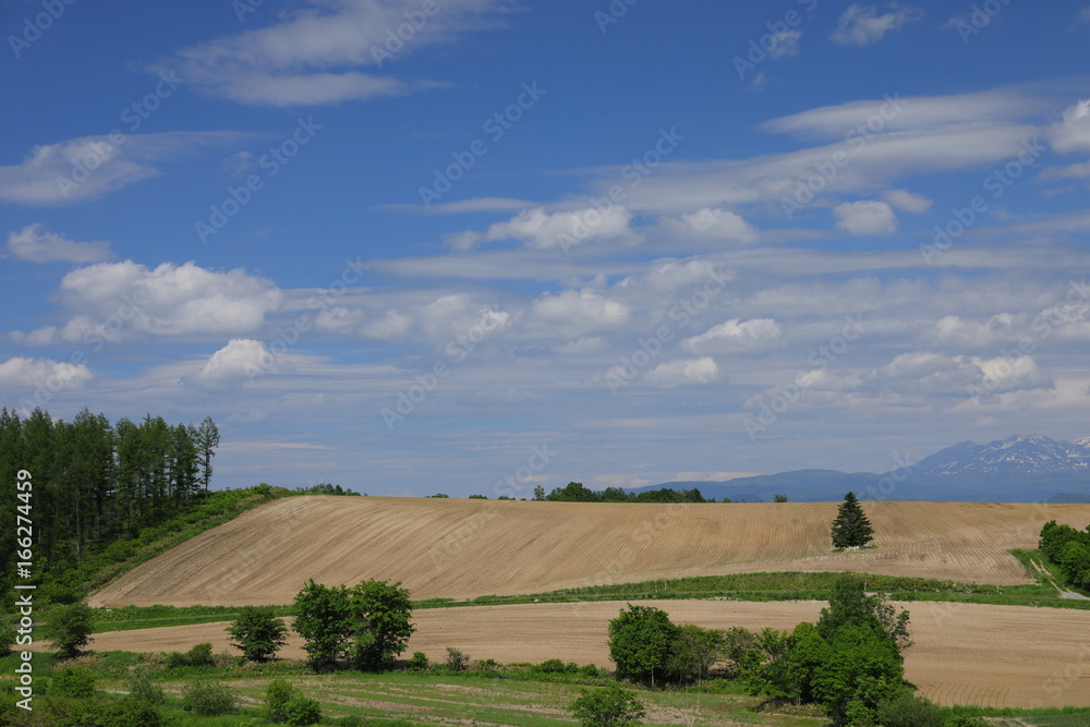 Landscape of Biei Hokkaido Japan