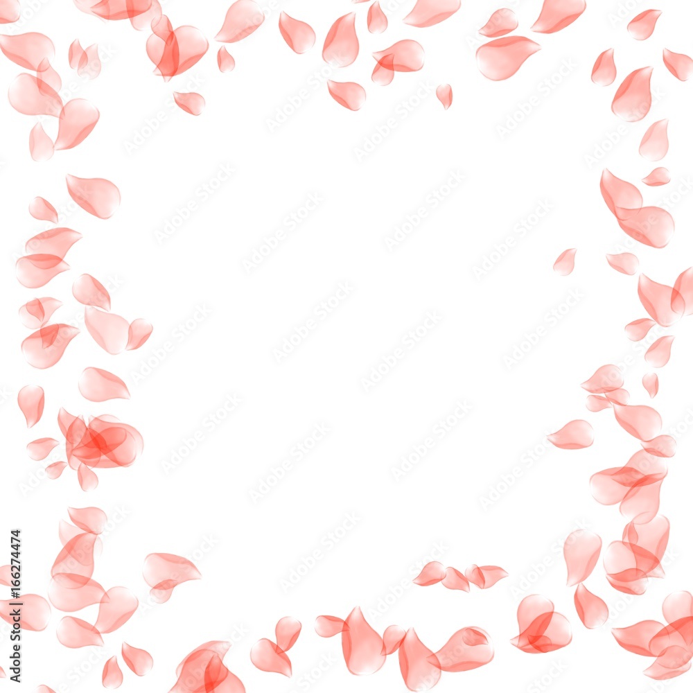 background leaves roses