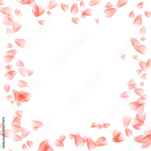 background leaves roses