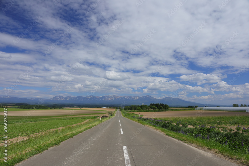 Landscape of Biei Hokkaido Japan Landscape of Biei Hokkaido Japan