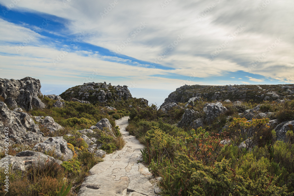 Table Mountain Landscape