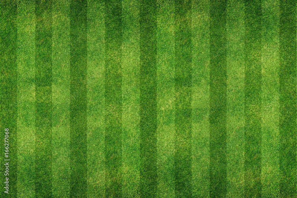 green grass line background - obrazy, fototapety, plakaty 