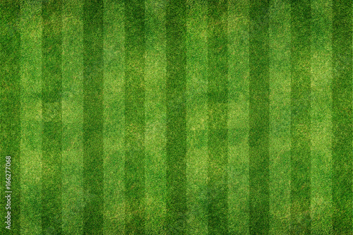 green grass line background