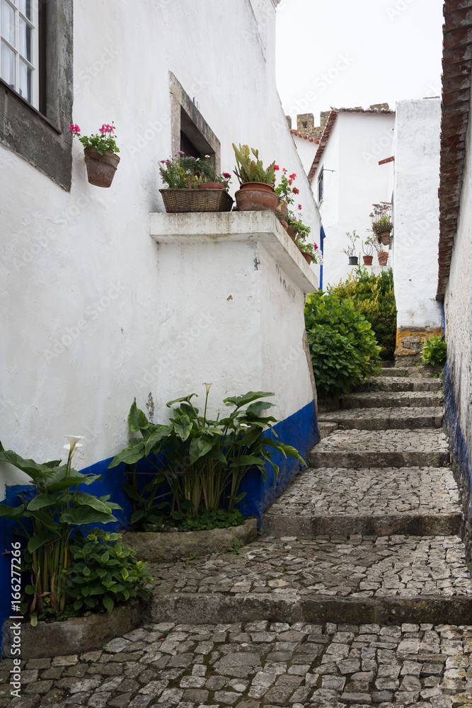 Fototapeta premium Traditional Medieval Street in Obidos, Portugal