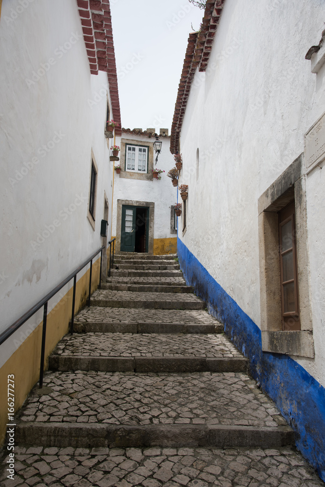 Traditional Medieval Street in Obidos, Portugal