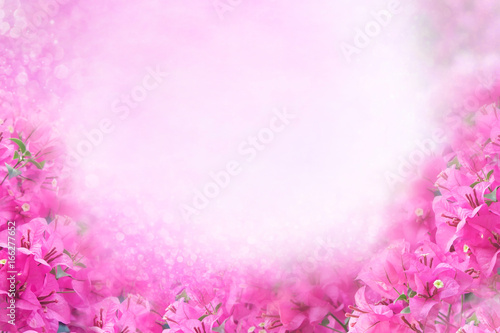 pink flower Bougainvillea frame on soft pink background with bokeh and glitter light,copy space 