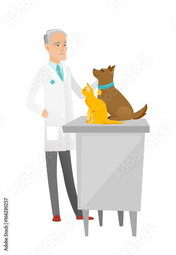Senior caucasian veterinarian examining pets.