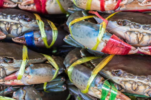 Sea Food Fresh Market : マッドクラブ・カニ・新鮮