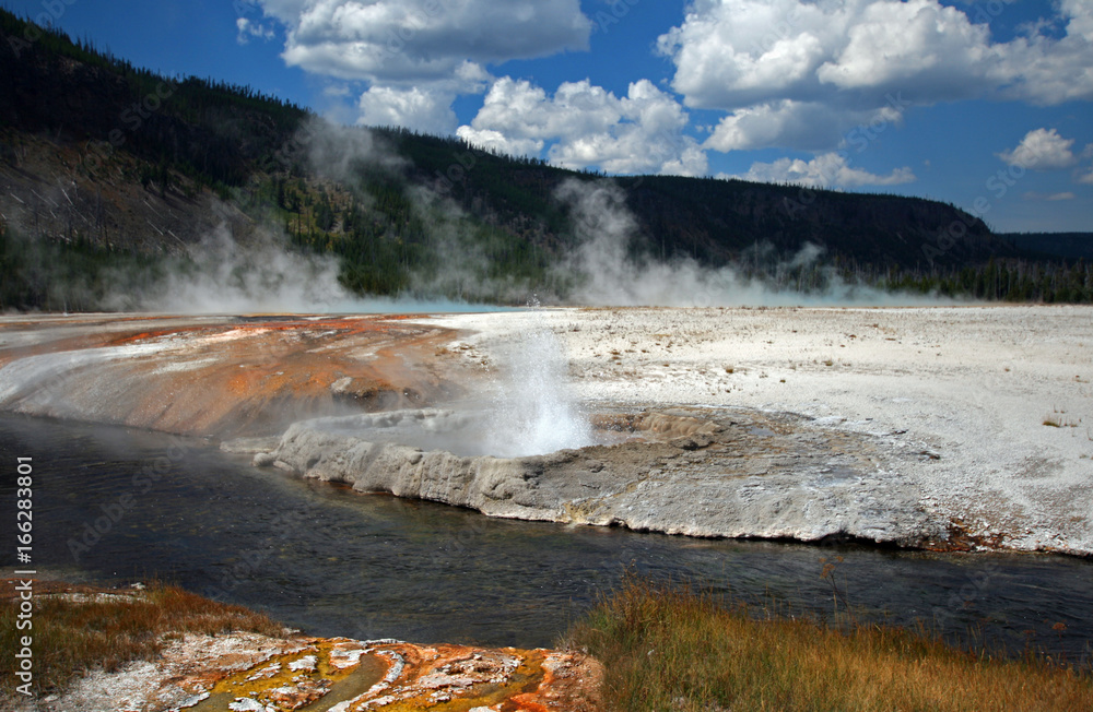 Cliff Geyser next to Iron Spring Creek in Black Sand Geyser Basin in Yellowstone National Park in Wyoming USA