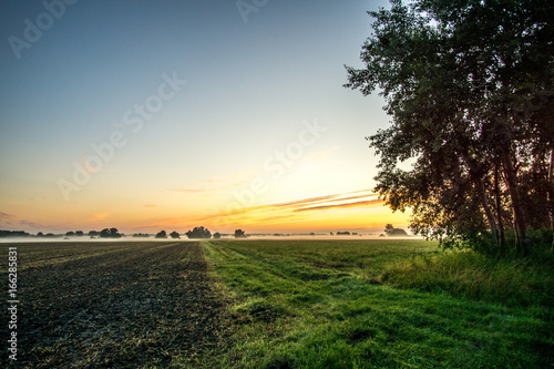 Plowed field and a meadow at sunrise and fog