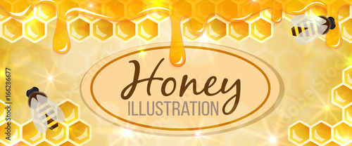 Colorful illustration, honey horizontal banner, organic nature product. Vector