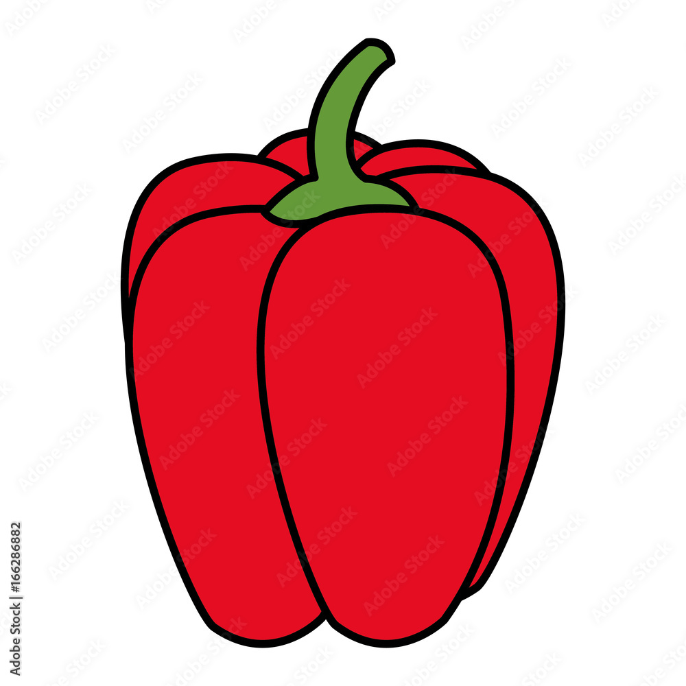 pepper fresh isolated icon pepper fresh isolated icon