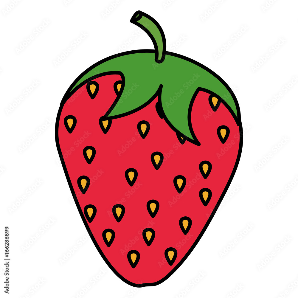 Fototapeta premium strawberry fresh isolated icon