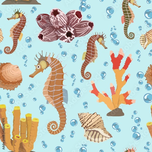 Seamless pattern with seahorse shells, corals. Vector illustration.