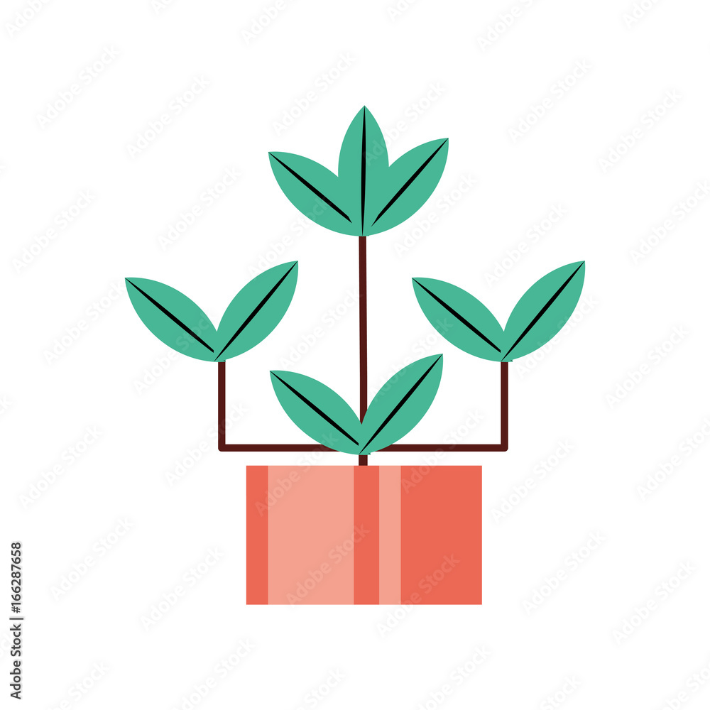 Plant in vase Plant in vase