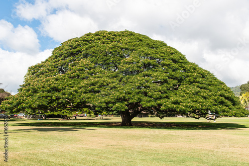 モアナルア・ガーデン