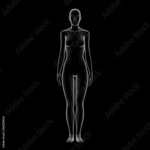 Female Body Shape © ikonacolor