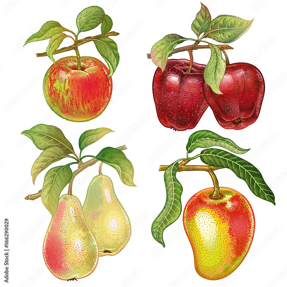 Realistic apple with bucket drawing by Andrize in Assam