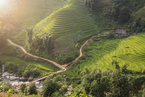 Sunset and Agriculture Green Rice fields and rice terraced on mountain at SAPA, Lao Cai, Mu Cang Chai, Vietnam.