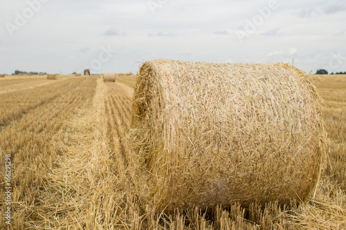 Hay and straw bales