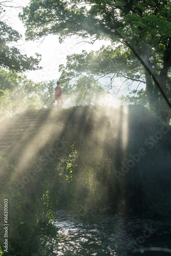 sunlight through forest falling on stone bridge covered by green plants in small village of China. © fanjianhua