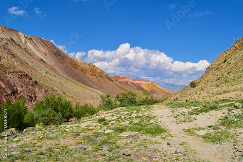 Ravine and path between colorful hills of Altai mountains. Altay Republic  Russia.