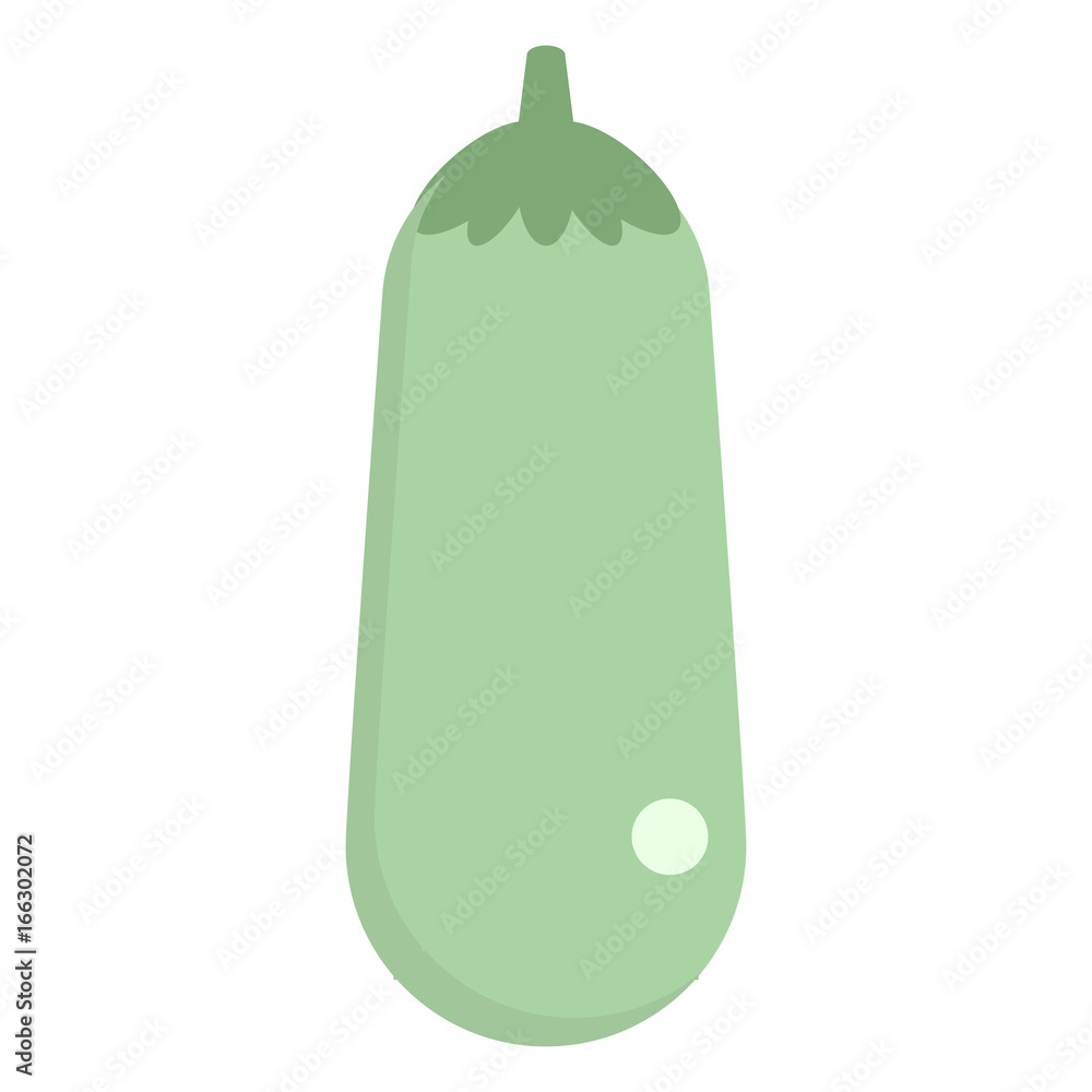 Zucchini fresh vegetable icon, vector illustration flat style design isolated on white. Colorful graphics Zucchini fresh vegetable icon, vector illustration flat style design isolated on white. Colorful graphics