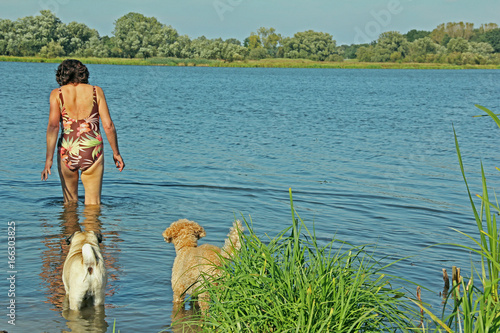 Frau badet mit Hunden im See photo