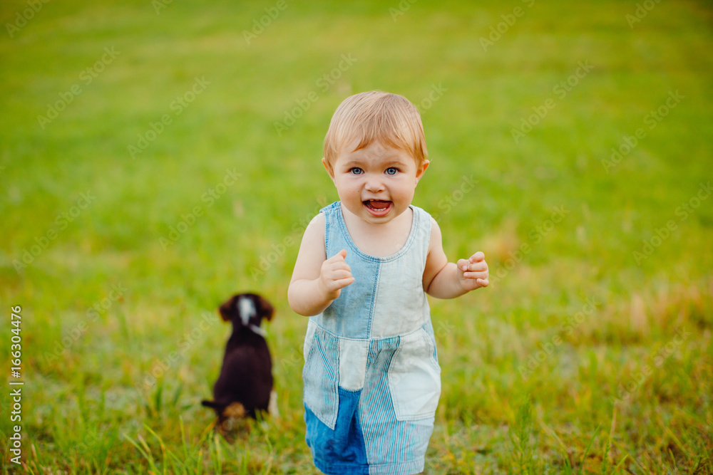 Little girl plays with puppy on the field Little girl plays with puppy on the field