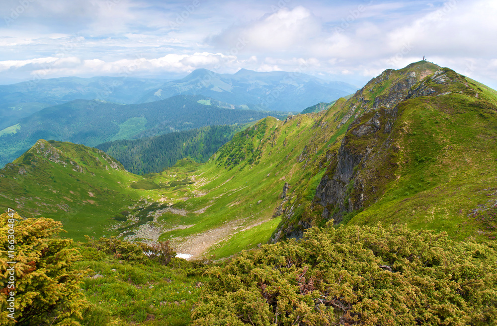 Naklejka premium Valley among majestic green and rocky mountain hills covered in green lush grass, bushes with a Pip Ivan peak. Sunny cloudy day in summer in June. Maramures, Carpathian mountains, Ukraine