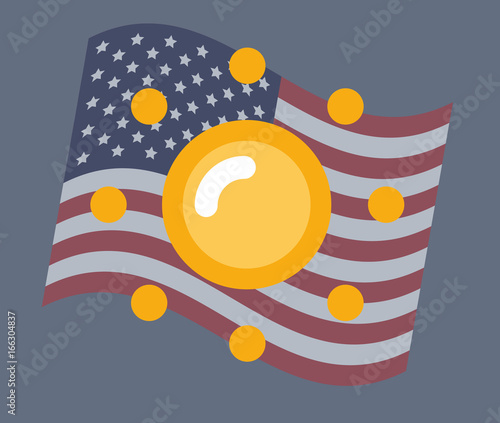 USA flag vector illustration