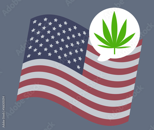 USA flag vector illustration