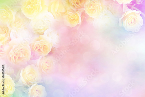 yellow rose flower frame vintage color filters, background for valentine or wedding card 