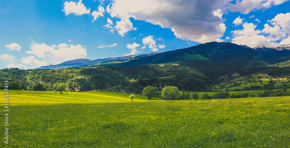Photo depicting a beautiful colorful amazing mountain meadow paradise landscape, summertime. European alpine mountains bathed in sunshine on a blue sky background. Photo depicting a beautiful colorful amazing mountain meadow paradise landscape, summertime. European alpine mountains bathed in sunshine on a blue sky background.