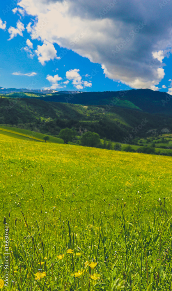 Photo depicting a beautiful colorful amazing mountain meadow paradise landscape, summertime. European alpine mountains bathed in sunshine on a blue sky background.