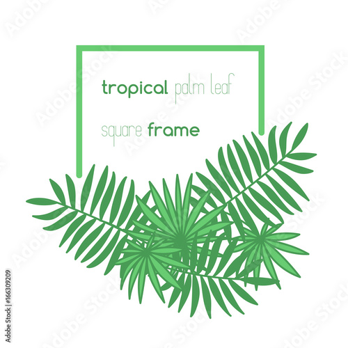 Square copyspace frame with palm leaves composition
