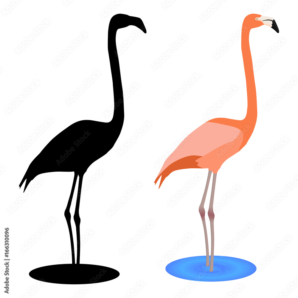 Fototapeta premium Flamingo. Black silhouette icon and pink drawing
