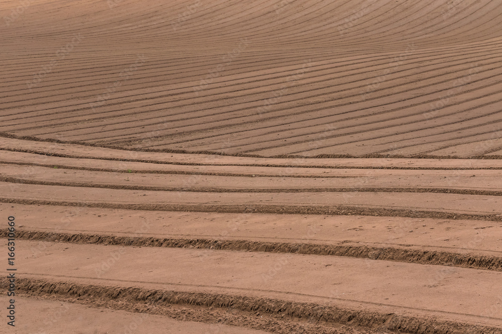 麦畑の畝(うね)の模様 Hilling(Wheat field pattern) 麦畑の畝(うね)の模様 Hilling(Wheat field pattern)