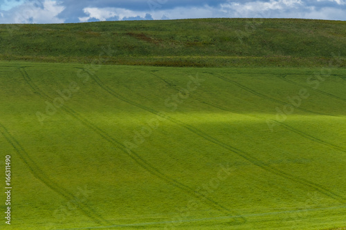 蒼い麦の風景　Scenery with wheat field © norikko