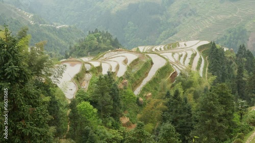 Terraced Rice Field - Jiabang, Guizhou Province, China. photo