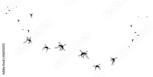 A flock of flying mosquitoes. Silhouette  graphic image. Vector  isolated on white background