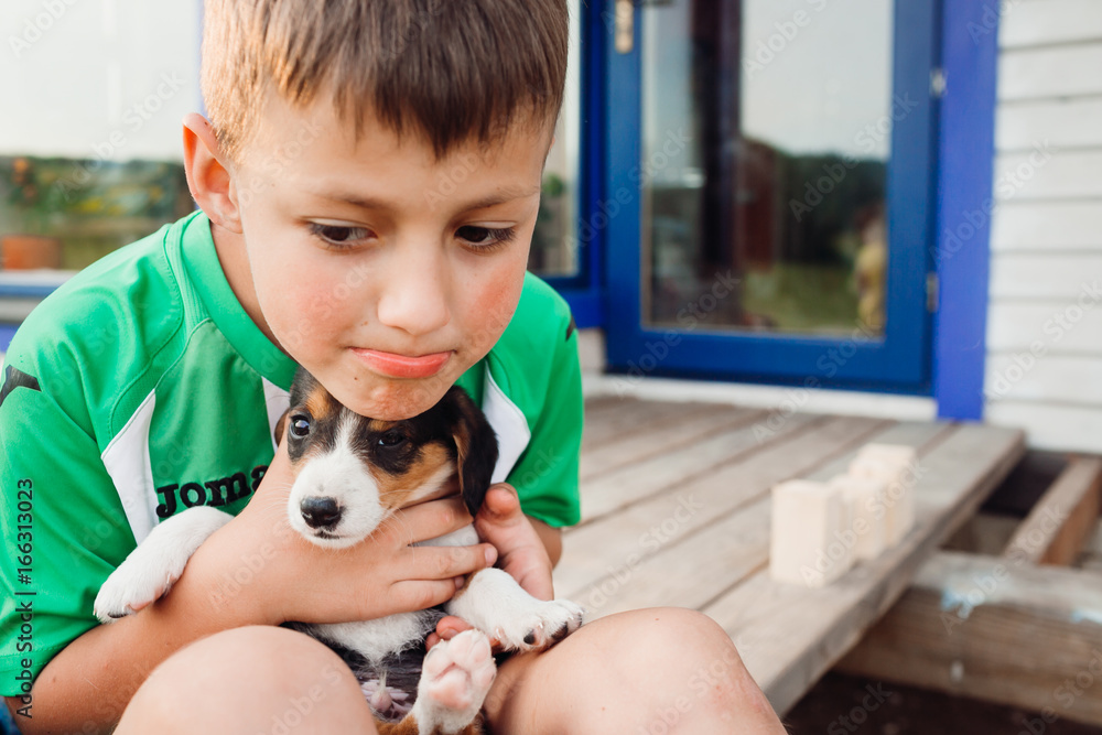 Little boy sits with a puppy on his knees Little boy sits with a puppy on his knees