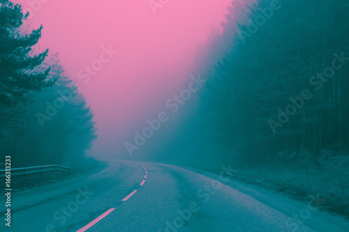 Принти на полотні Photo depicting road in a mystic woods