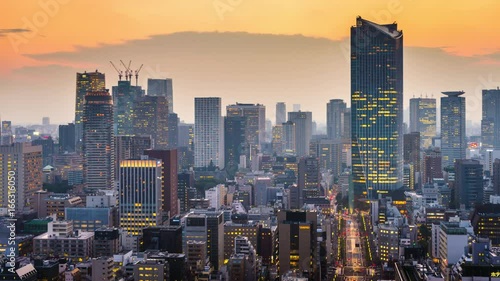 Tokyo, Japan Cityscape